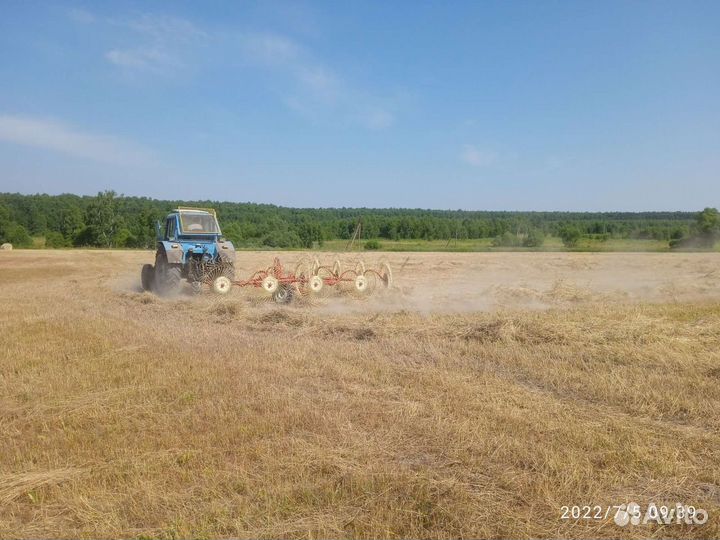 Сено в рулонах 2022