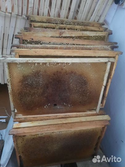 Сушь для пчел