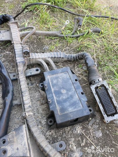 Жгут электропроводки DAF 105 кабина-двигатель