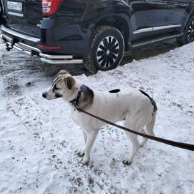 Rus porno video intervyu