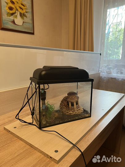 Аквариум