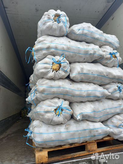 Картошка продажа мешок
