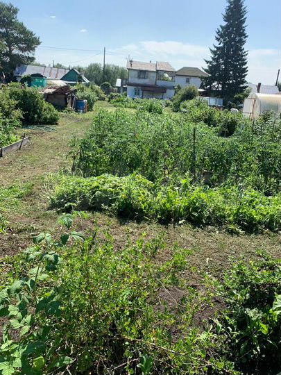 Участок 6 сот. (СНТ, ДНП)