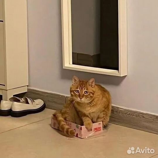 Маска Ти Рекса, под основу для фурсьюта :