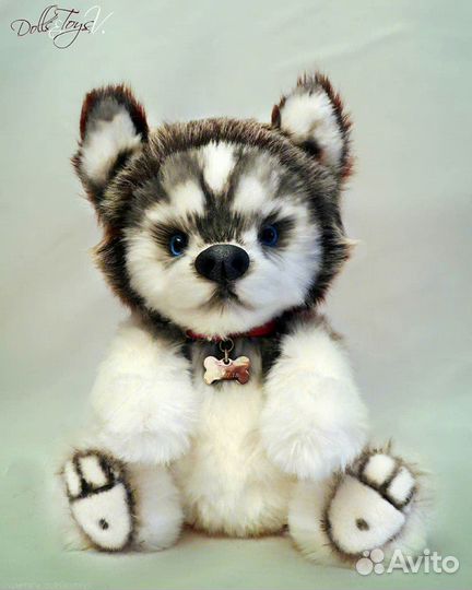 Меховой Хаски в стиле Тедди