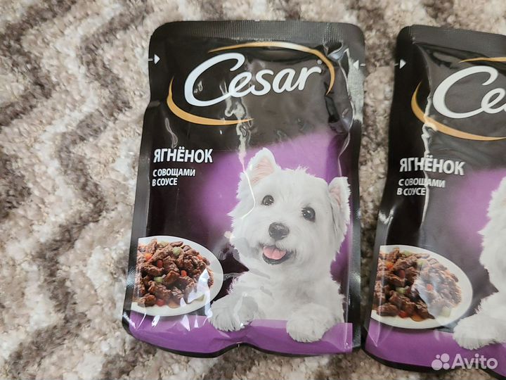 Влажный корм для собак Cesar