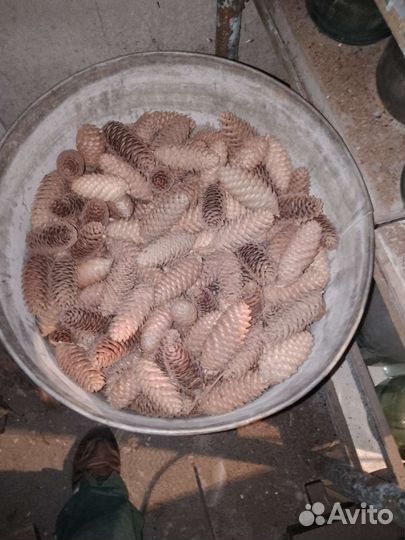 Куст сосны пластиковый, для изделий с деревом