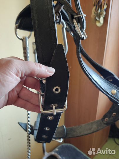 Шлейка кожаная для большой собаки и поводок