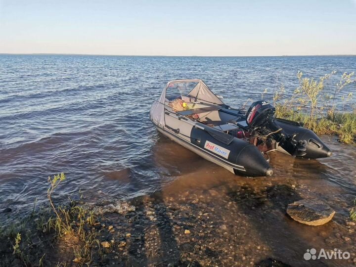Лодка пвх Profmarine 350