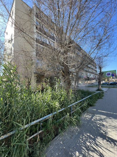 Свободного назначения, 96 м²