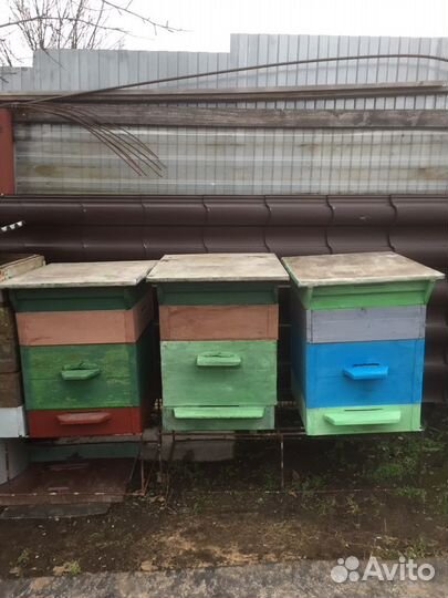 Улей б/у