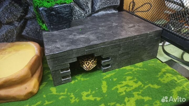 Укрытие для рептилий