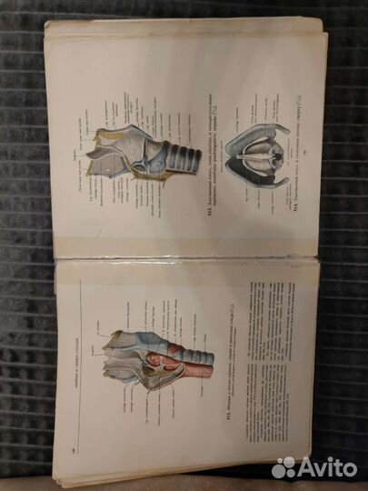 Атласы Синельникова 2, 3 тома Анатомия
