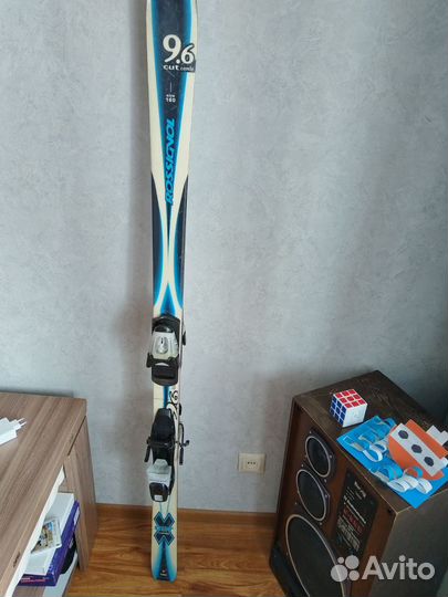 Горные лыжи