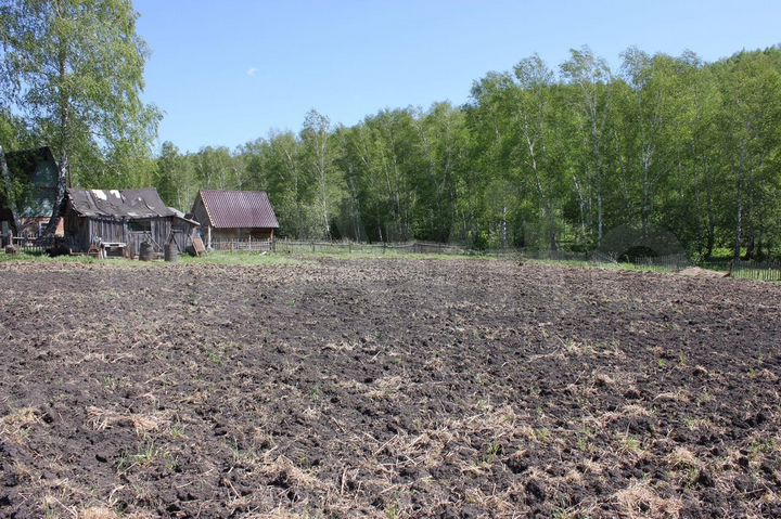 Участок 16,5 сот. (СНТ, ДНП)