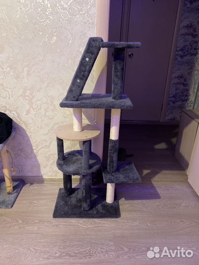 Когтеточка