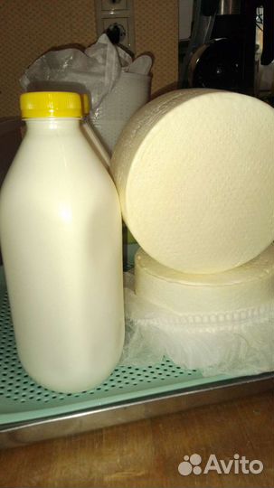 Молоко козье домашнее