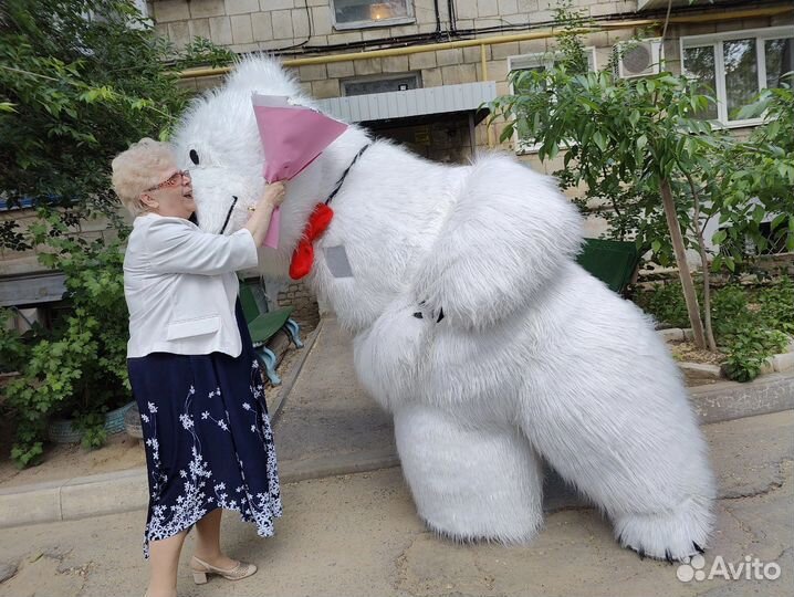 Белый Мишка, поздравление, аниматор, медведь