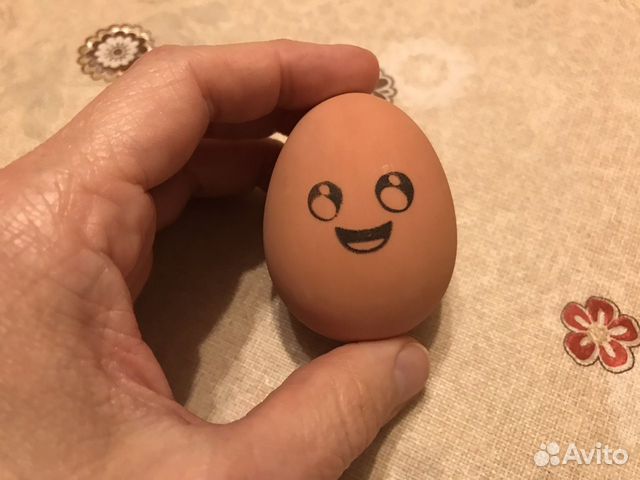 Яйцо-попрыгун