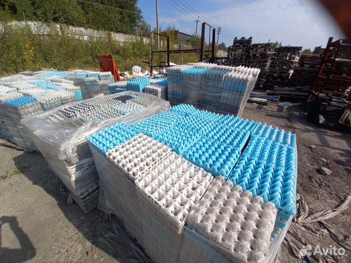 Яичные ячейки