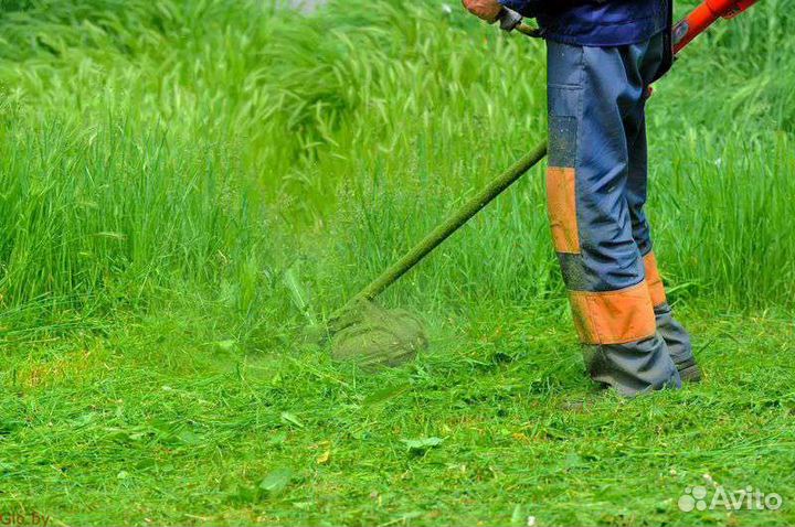 Покос травы