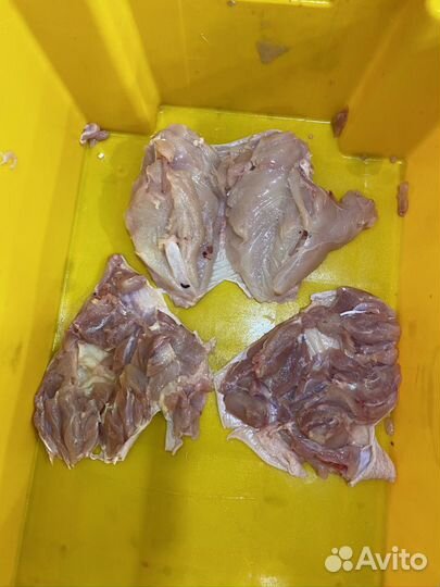 Филе куриное, Шаурма, крыло, оптом Халяль. гост