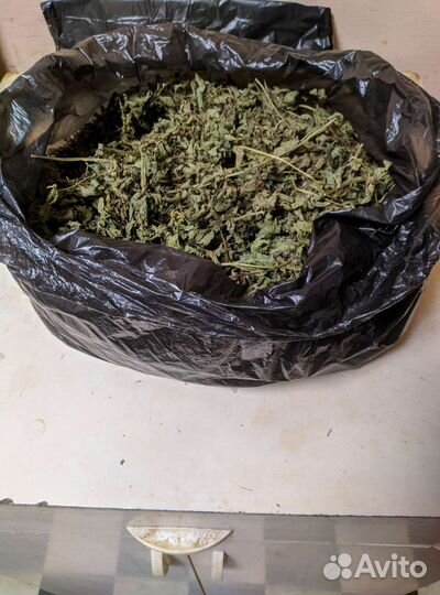 Мята сушеная