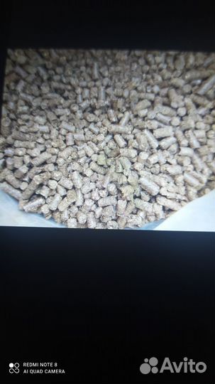 Подкормка для рыбы