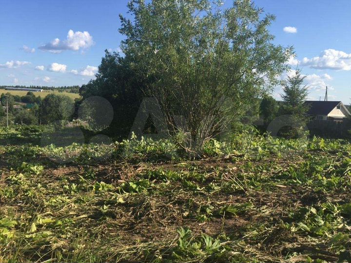 Участок 25 сот. (ИЖС)