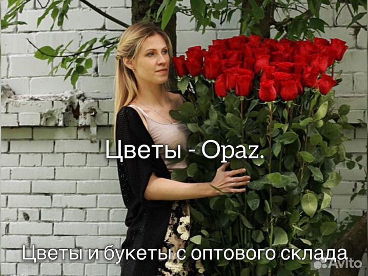 Розы 150см 100см