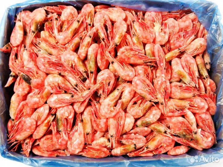 Креветка северная 90/120