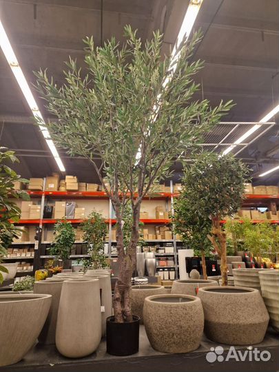 Олива Искусственная/Оливковое дерево высота 2,6м