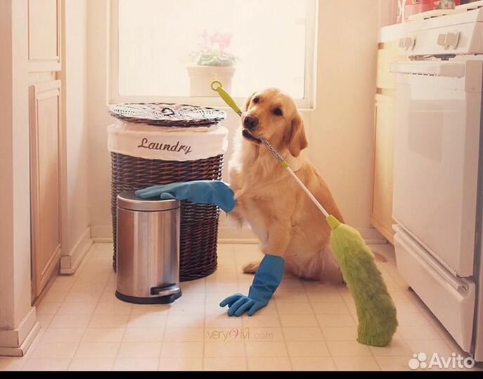 Сотрудник по уборке дома за собаками/ Вахта