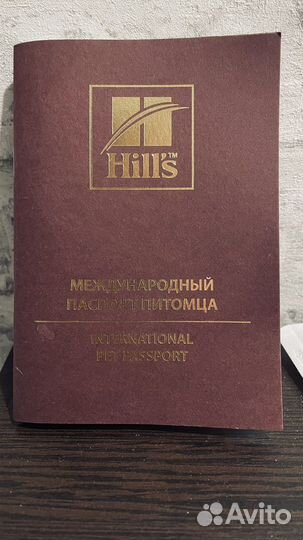 Кролик декоративный