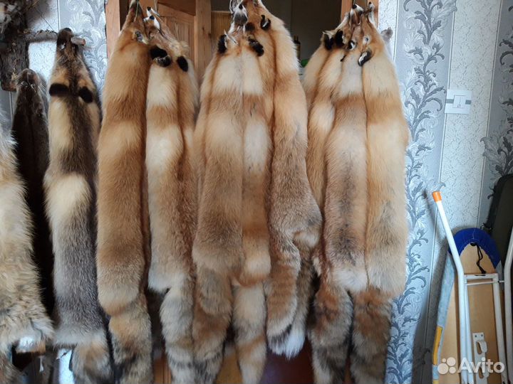 Шкурки лисы