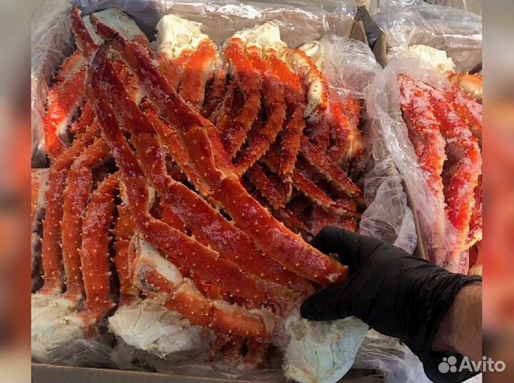 Клешни камчатского краба