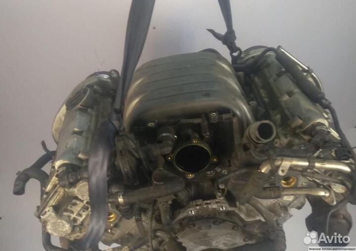 Двигатель Audi A4/S4