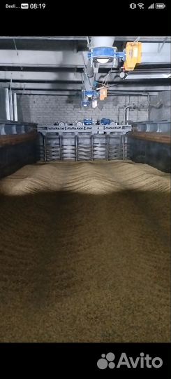 Солод базовый ячменный