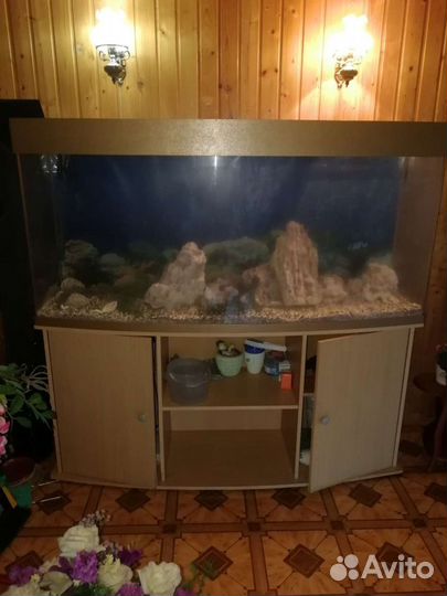 Аквариум большой