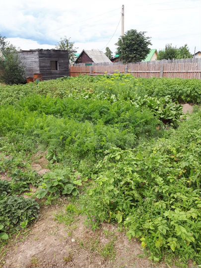 Участок 6 сот. (СНТ, ДНП)
