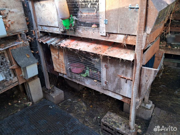 Клетка для кролика