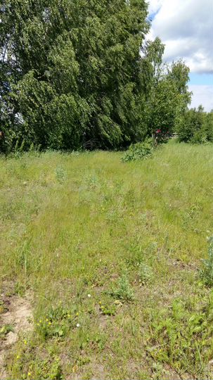 Участок 15 сот. (ИЖС)