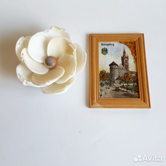 Сувениры из Сочи Калининграда