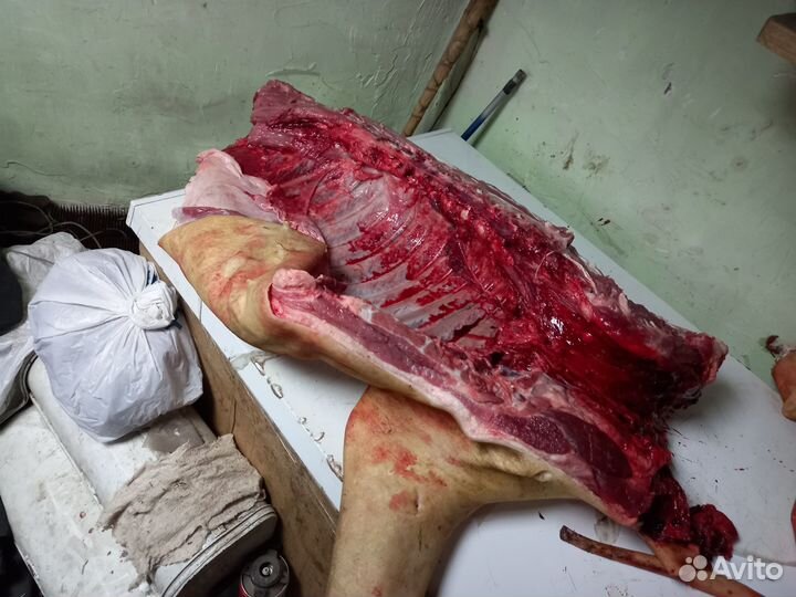 Продам свинину домашнюю