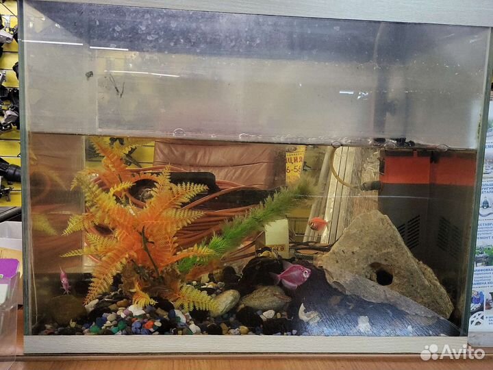 Аквариум 50литров