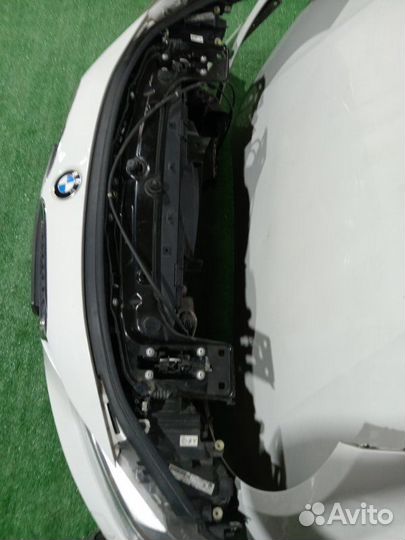 Nose cut Bmw 3 F30 2011-2015