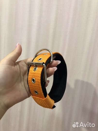 Ошейник для собак
