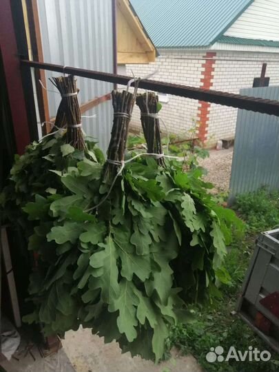 Продам веники