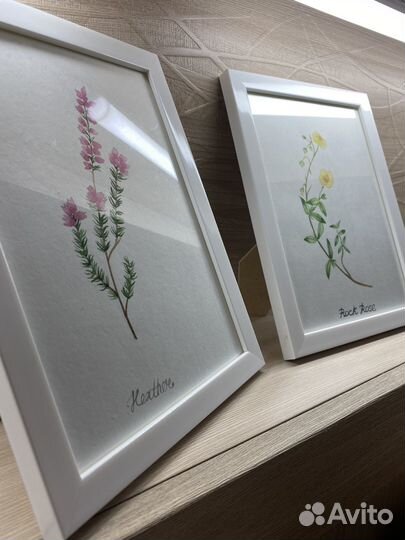 Картина акварель цветы