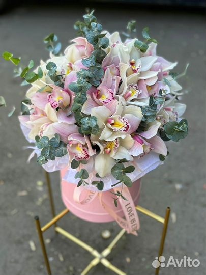 Орхидея букет в коробке